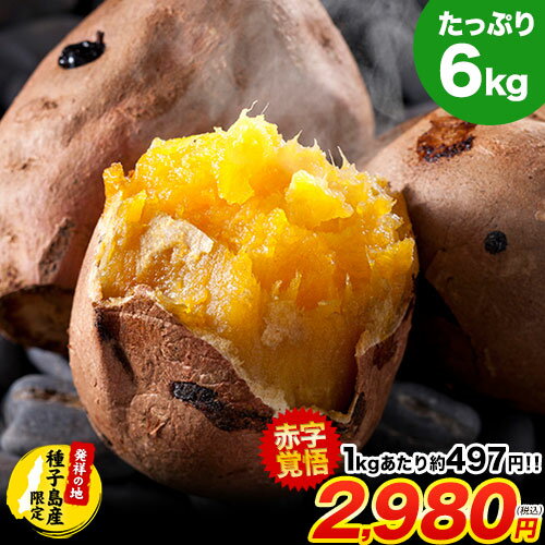 6/22 202ָ40OFFݥȤ롪 ڡֻи1kg׷497ߡ Ĥޤ 绺 ...