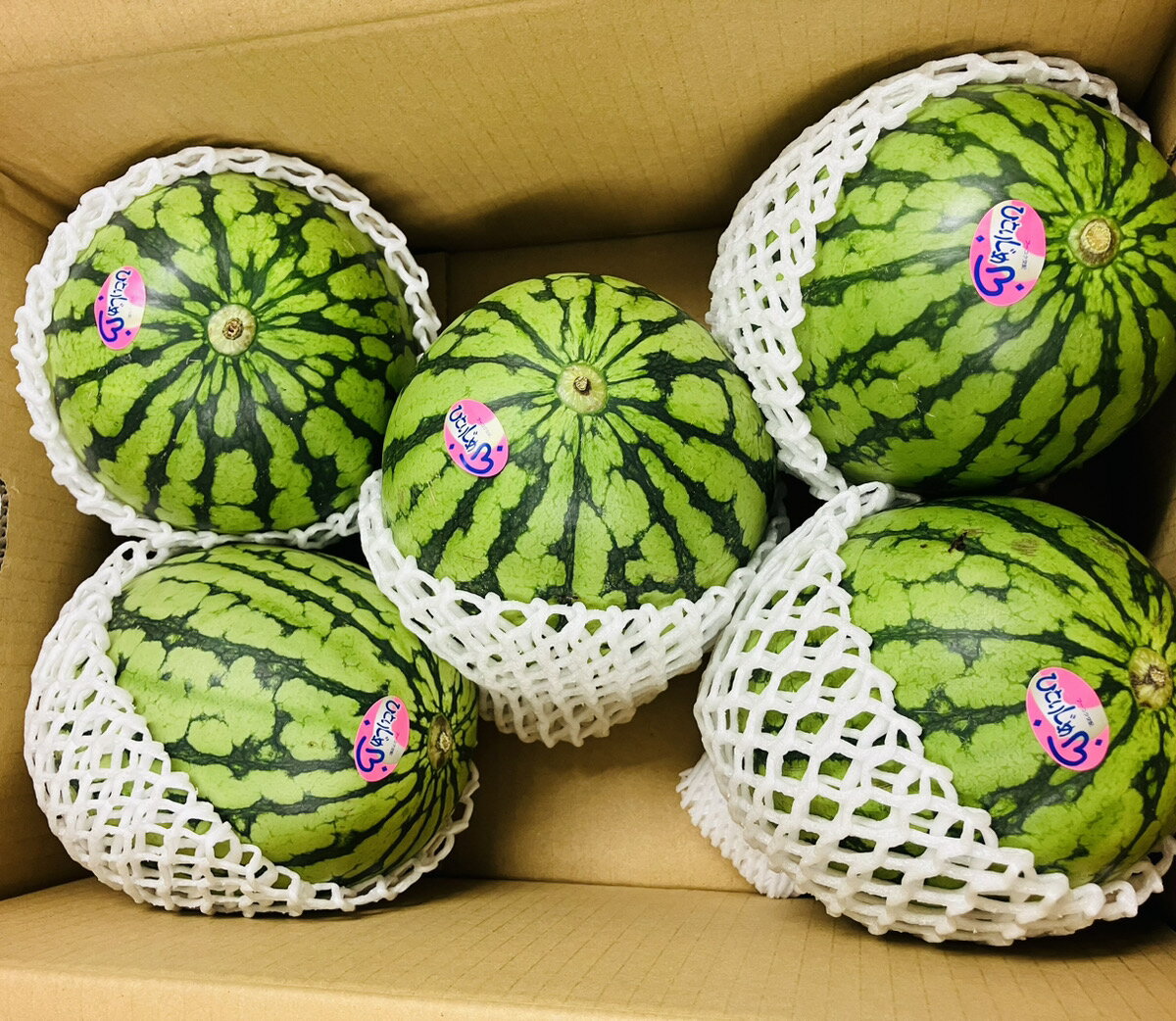 こだま すいか かわいいデザイン・丈夫な箱5個セット 楽天市場】小玉スイカ(総個数5個入り)の通販