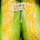 熊本県産 訳あり とうもろこし ドルチェドリーム 約4kg 箱込み【002】クール便 九州産 スイートコーン 野菜 熊本 訳あり品 家庭用
