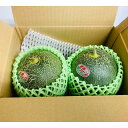 【選果落ち 訳あり商品】熊本県産 肥後グリーン メロン 青肉 2玉 2kg以上【002】 規格外 家庭用 贈答不可 加工用 熊本県産 果物 フルーツ