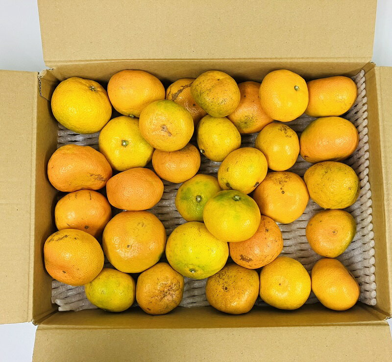 【規格外 訳あり品】熊本県産 みかん 訳あり品 箱込み【002】 Sサイズ〜3L混合 不揃い 熊本 九州 早生 熊本産 蜜柑 食品 家庭用 訳あり 温州みかん ...