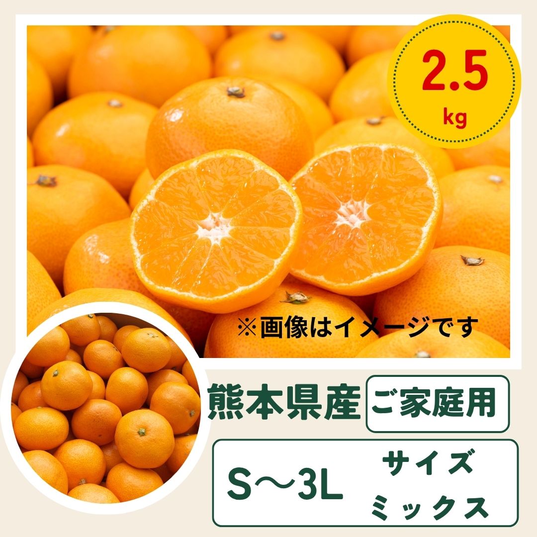 選果落ち 訳あり品 熊本県産 みかん 規格外 箱込み【002】極早生みかん 早生みかん 温州みかん 金峰 今村など Sサイズ～3L混合 サイズ不揃い 熊本 九州 早生 熊本産 蜜柑 食品 家庭用 訳ありのサムネイル