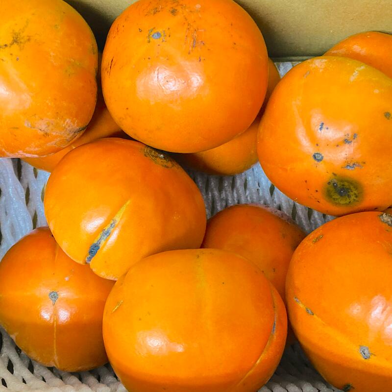 【規格外 訳あり商品】熊本県産 富有柿 訳あり 箱込み【003】サイズ3L-S 熊本県 福岡産 家庭用 無規格外 家庭用 贈答不可 加工用 通販