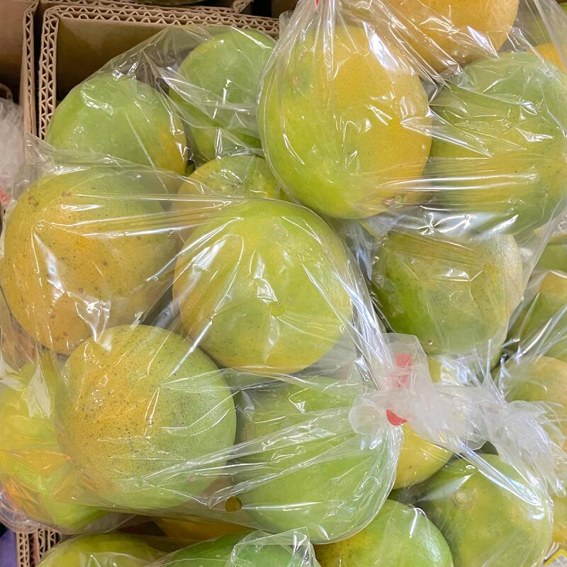 【選果落ち 訳あり商品】 国産 レモン 箱込み 規格外 家庭用 贈答不可 加工用【003】 九州 熊本 福岡 通販 果物 フルーツ 果物