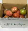 【規格外 訳あり商品】熊本県産 トマト 訳あり 箱込み 約2kg【003】無規格外 家庭用 贈答不可 加工用 通販 サイズ不揃い くまもと とまと