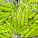 【選果落ち 訳あり商品】熊本県産 国産 生 青唐辛子 約500g 箱込み【003】枝あり 枝なし混合 野菜 サイズ不揃いトウガラシ とうがらし