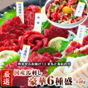 馬刺し 馬肉 国産 熊本 6種盛り ＜ 特選霜降り ＆ 上霜降り ＆ 赤身 ＆ ユッケ ＆ コーネ ＆ フタエゴ ＞ 数量限定 お徳な満足セット 約5人前 450g ユッケタレ付 小袋醤油付 小袋生姜付