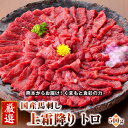 馬刺し 馬肉 国産 熊本 上霜降り 約10人前 500g 小袋醤油付 小袋生姜付