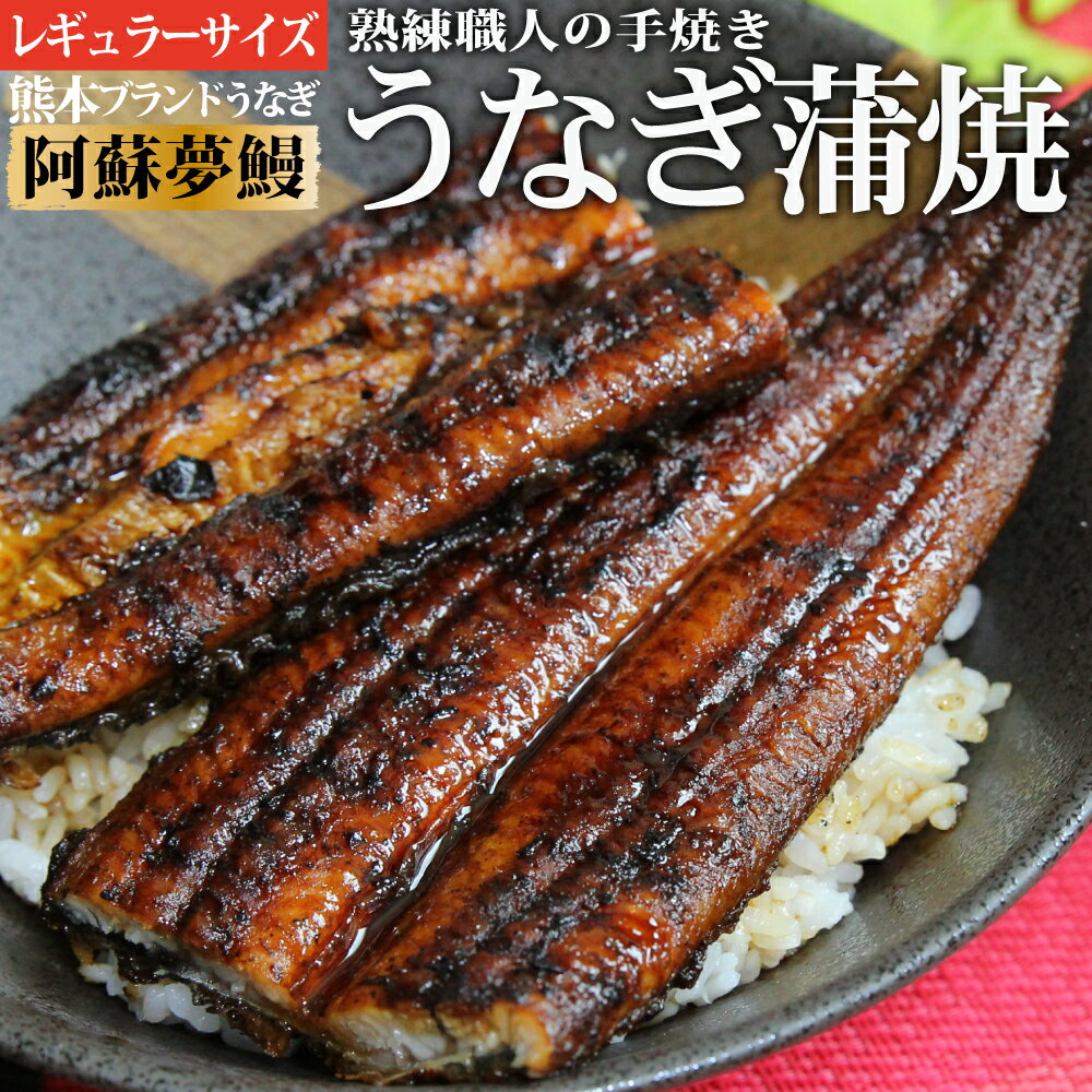 熊本県産うなぎ 『阿蘇夢鰻』あそろまん 蒲焼き2尾～5尾セット(1尾140g超え)｜国産うなぎ｜高級肉厚ブランドうなぎ お歳暮 お正月 おせち ギフト クリスマス プレゼント敬老の日 ギフト 贈答品 お歳暮 うなぎ蒲焼き お中元 特大うなぎ 家族 おじいちゃん おばあちゃん