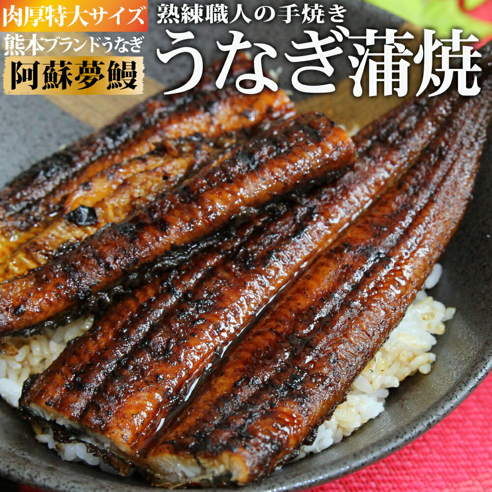 【特大サイズ】熊本県産うなぎ『阿蘇夢鰻』あそろまん 蒲焼き 1～3尾セット(1尾200g超え)