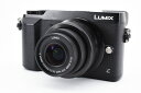 【中古】Panasonic パナソニック LUMIX D