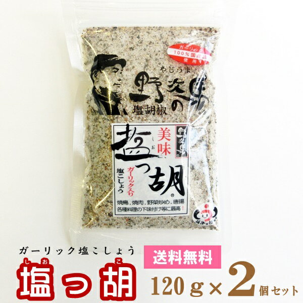 【メール便送料無料】 塩っ胡(しおっこ)　袋入り [120g×2個セット]　【塩工房 野次馬】【調味料 塩こしょう ガーリック塩胡椒 にんにく】