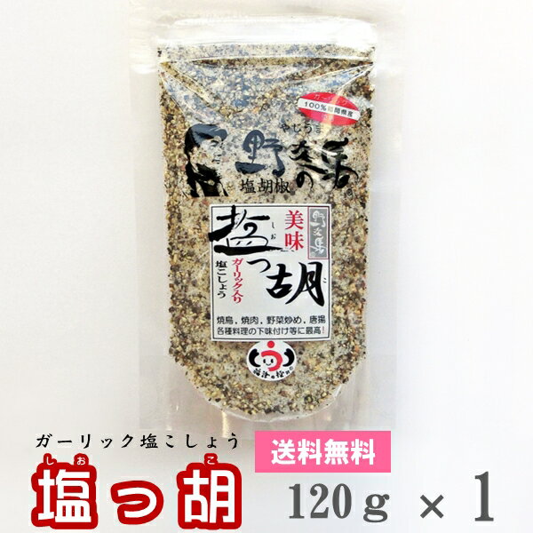 【メール便送料無料】 塩っ胡(しおっこ)　袋入り [120g×1]　【塩工房 野次馬】【調味料 塩こしょう ガーリック塩胡椒 にんにく】