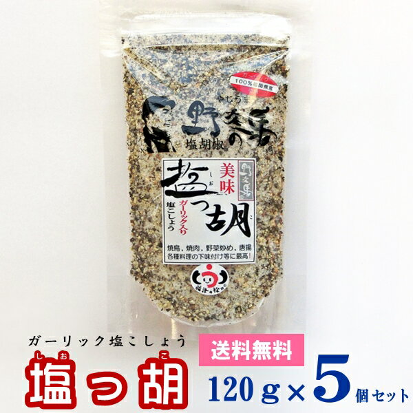 【メール便送料無料】 塩っ胡 しおっこ 袋入り [120g 5個セット] 【塩工房 野次馬】【調味料 塩こしょう ガーリック塩胡椒 にんにく】