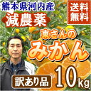 【代引不可・同梱不可】 熊本産 減農薬 東さんのみかん 訳あり品 10kg 【送料無料】【減農薬・有機肥料栽培・除草剤不使用・ホルモン剤不使用・防腐剤不使用・ノーワックス】 - 熊本四季農園楽天市場店