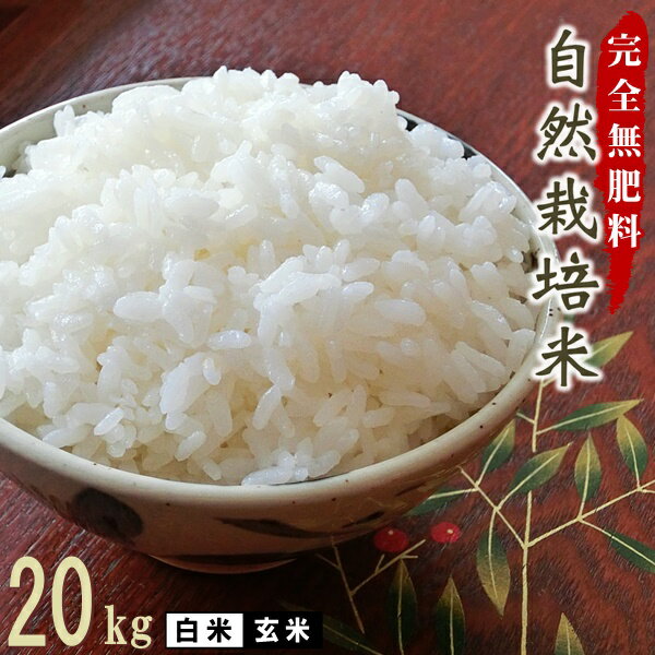 完全無肥料 自然栽培米 令和元年産 ヒノヒカリ 20kg（5kg×4袋） 【農薬・化...