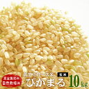 低アミロース米 ぴかまる 熊本産 10kg(5kg×2袋) ...