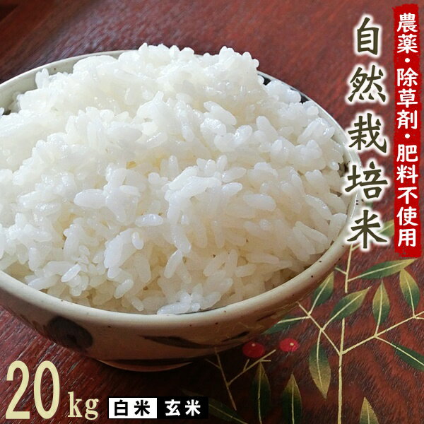無肥料 自然栽培米 令和5年産 ヒノヒカリ 20kg 【農薬