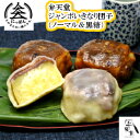 弁天堂 ジャンボいきなり団子10個(ノーマル5個 黒糖5個) 熊本名物 ジャンボサイズ約150g混合10個入り 熊本土産 さつまいも 団子 お菓子 和菓子 ※冷凍便でお届けします。常温便及び冷蔵便の商品と一緒に配送はできません。
