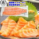 業務用冷凍トロサーモン 半身 お刺身用 約1kg（900g〜1kg） 骨なし 皮つき トリムC メガ盛り10人前以上！ チリ産トラウトサーモン 冷凍便 刺身用 寿司やカルパッチョにも！ 切り身にして焼きにしても絶品