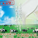 らくのうマザーズ　LL大阿蘇牛乳1L×6本 ※常温保存のため冷蔵庫のスペースを気にせず保管可能　※北海道、東北、沖縄への発送不可 3