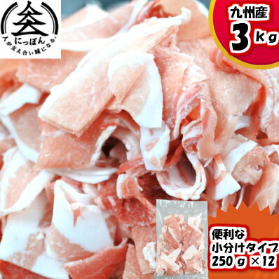 【送料無料】冷凍 国産豚ひき肉 500g×10パック 計5kg 和豚もちぶた使用 真空パック 餃子 ハンバーグ 麻婆豆腐 カレー、肉団子や麻婆豆腐に最適 豚ミンチ 挽き肉 まとめ買いがお得 挽肉