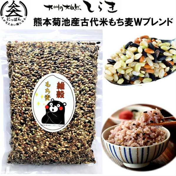 熊本産古代米もち麦Wブレンド500g 栄養バランス抜群の古代米と食物繊維抜群のもち麦だけを贅沢にブレンド 雑穀米　混…