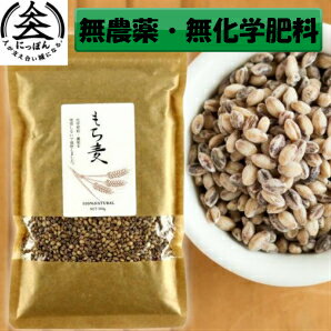 令和3年産　原さんのもち麦300g　国産（100％熊本県産）無農薬　無化学肥料　熊本県菊池市七城町　完全無農薬・化学肥料不使用　雑穀米　送料無料　国産　メール便商品