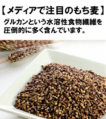 ファームきくち『九州の大自然しらき黒米もち麦』