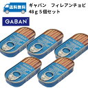 GABAN フィレアンチョビ48g5個セット ギャバン 調味料 スパイス 業務用 アンチョビ 缶詰 メール便送料無料