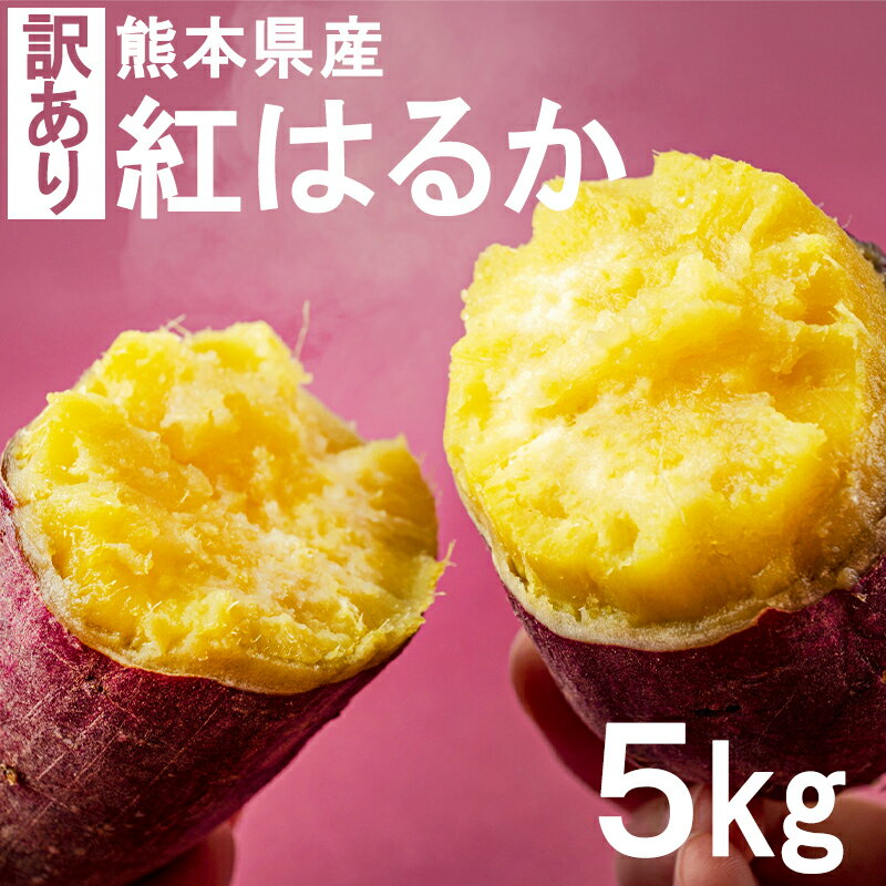 熊本県産訳あり 紅はるか 5kg 大中小サイズ混合（不選別）B級品 さつまいも 期間限定　生芋　から芋　サツマイモ　はるか　訳あり　新物　こちらの商品は他の商品と同梱不可。のサムネイル