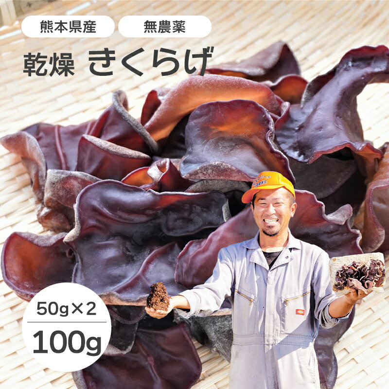 熊本県産乾燥きくらげ 無農薬栽培 和田さんちのきくらげ100g（50g×2) きくらげホール 一口サイズ 乾燥きくらげ 九州産 国産 ぷりぷりきくらげ 木耳 メール便送料無料 優良品 乾燥