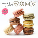 ベルギー産マカロン 大容量冷凍60個セット（チョコレート ストロベリー レモン ピスタチオ バニラ各12個）ベルギー産 訳あり（たまに割れあり）冷凍便 業務用 パーティ用 スイーツ デザート ご褒美 一口サイズ 詰め合わせ お買い得 ホワイトデー