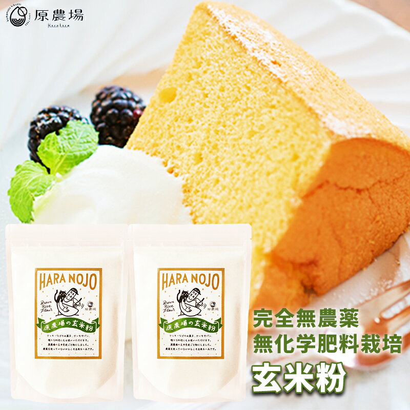完全無農薬　無化学肥料栽培の玄米粉　原農場の玄米粉800g（400g×2袋）無農薬・化学肥料不使用　熊本県産　国産　玄米粉　米粉　メール便　パンケーキ、ホットケーキ、クッキー、ドーナツ、パン、揚げ物の衣や離乳食にも自然栽培 アレルギー　ヒノヒカリ玄米のサムネイル