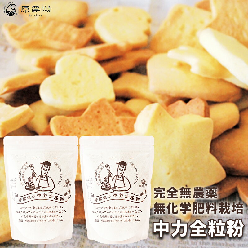 完全無農薬 無化学肥料栽培の中力全粒粉 原農場の中力全粒粉800g(400g×2袋)無農薬・化学肥料不使用 熊本県産 国産 有機JAS 熊本県産小麦 中力小麦粉 有機 メール便 全粒粉 品種:チクゴイズミ クッキー、クラッカー、ビスケット、パンケーキなどに