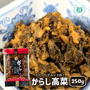 九州熊本の逸品 からし高菜 250g 伝統の製法にこだわり続ける阿蘇の老舗たかな菊池食品 たかな漬け・熊本・お土産・ご当地・ご飯のお供 九州産高菜使用 辛子高菜...