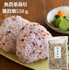 完全無農薬 無化学肥料栽培の雑穀米 雑穀畑550g 原さんちの雑穀米 混ぜるだけ 原農場 有機JAS無農薬・化学肥料不使用 送料無料 国産　熊本県産 黒米 赤米 緑米（時期によってはもち玄米）押麦 発芽玄米 もち麦 メール便 雑穀米 無添加 無着色 健康 安全 チャック付き