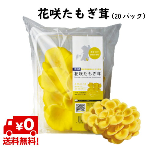 【送料無料】花咲たもぎ茸（20パック）健康食品/免疫/肥満/便秘/エイジングケア/美容/国産