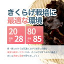 kumamotoumakamonn:10000049のサンプル画像3