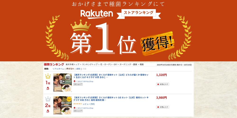 【楽天ランキング1位受賞】きくらげ 栽培キット【公式】どちらが届くか 栽培セット...
