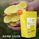 【ポイント 10倍 お買い物マラソン期間中】 たもぎ茸 【公式】花咲たもぎ茸 粉末タイプ 国産 たもぎだけ 乾燥 干し きのこ 熊本県産 菌活 エルゴチオネイン β-グルカン グリシン ナイアシン 抗酸化作用 アミノ酸 ビタミン 食物繊維 花咲 たもぎたけ アスリー オフィシャル