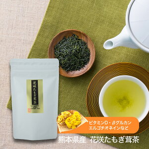 【公式】 花咲 たもぎ茸茶 緑茶 お茶 ティー バック 茶葉 ブレンド たもぎ茸 たもぎだけ たもぎたけ タモギダケ 人気 おすすめ 女性 母 奥さん ギフト プレゼント 贈り物 健康茶 きのこ茶 ホット 水だし 菌活 飲む美容 抗酸化作用 カテキン アミノ酸 エルゴチオネイン