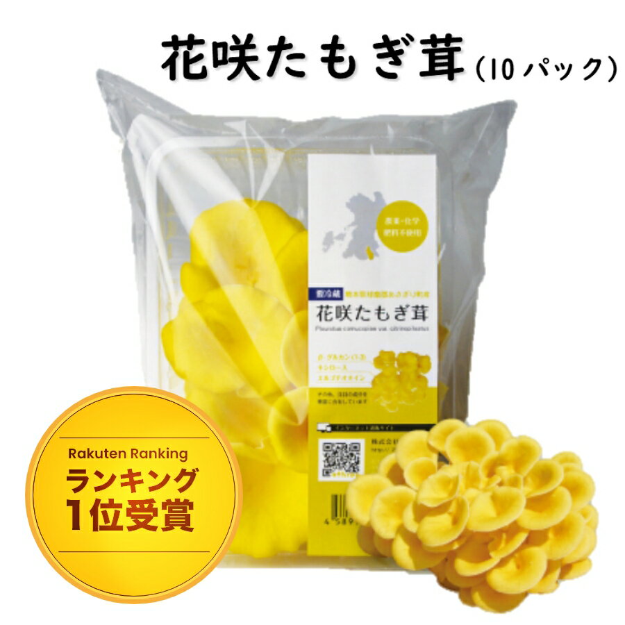 【楽天ランキング1位受賞】 たもぎ茸 【公式】花咲たもぎ茸 10パック セット 生タイプ 国産 たもぎたけ たもぎだけ 熊本県産 エルゴチオネイン グリシン ナイアシン β-グルカン アミノ酸 食物繊維 キシロース 菌 菌活 神経細胞 神経幹細胞 活性化 アスリー オフィシャルのサムネイル