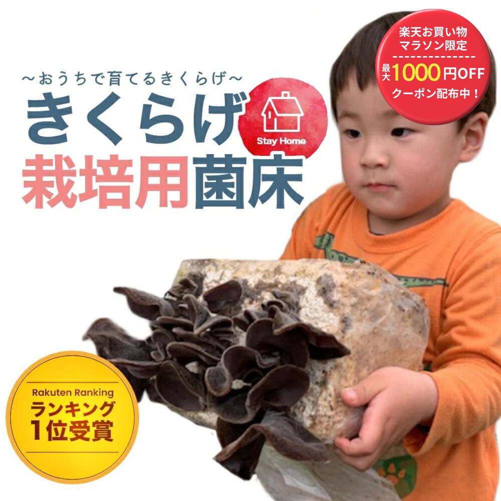 Rakuten