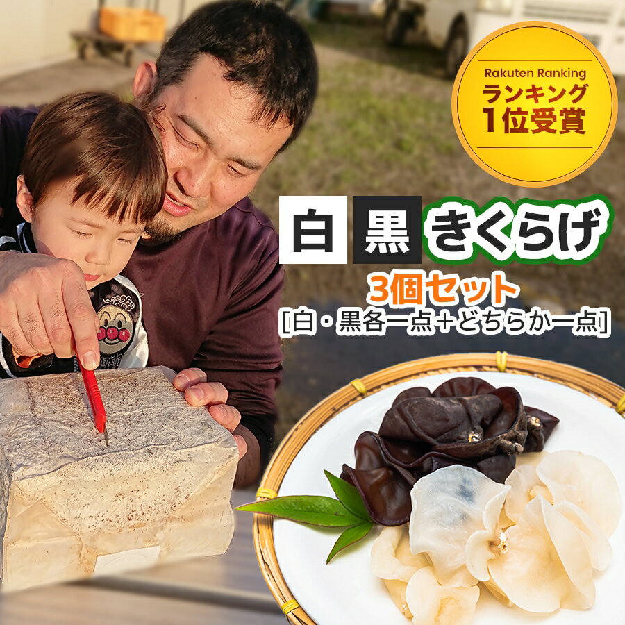 商品説明商品特徴 待望のきくらげ栽培用菌床が誕生しました＊きくらげの豆知識＊ きくらげには強い骨作りを手助けするビタミンDが豊富に含まれています。 キノコ類の中でもビタミンDの含有量がダントツの1位です。 また、食物繊維も多く含まれており、美容と健康にオススメです。 生活習慣病や肥満・便秘の予防にも期待できると言われています。 『名医のthe太鼓判』や『梅沢富美男のズバッと聞きます!』でも紹介されるほど今注目されており、話題の食材です。 そんな話題の食材『きくらげ』をご家庭で栽培できる菌床を作りました。 夏の自由研究やお子様との食育に最適です。 家族で育てる楽しみ、収穫できた時の喜びを共感して、今まで以上に会話が弾む楽しい食卓になればと思いを込めて作りました。 ご自宅で作るラーメンのトッピングや、ちゃんぽん・八宝菜・餃子などの中華に、 炒め物・春雨サラダ・ナムル・炊き込みご飯の具材としていかがでしょうか？ コリコリとした歯ごたえがたまりません。 収穫して食べきれないきくらげも天日干しで乾燥させれば、後日ゆっくり楽しむこともできます。 収穫後は、家庭菜園の肥料やカブトムシ・クワガタの圃場として使用することもできます。 肥料として使用される場合は細かく砕いて畑に撒き、土づくりとして活用ください。 1個のきくらげ菌床で3度お楽しみいただけます。 ＜検索キーワード＞ きくらげ栽培 栽培セット 栽培キット きくらげ キクラゲ 木耳 きのこ キノコ 茸 自家栽培 家庭菜園 家庭農園 自由研究 室内栽培 国産 熊本県産 菌活 ダイエット 薬膳 中華料理 出汁 ダシ だし エルゴチオネイン グリシン ナイアシン βグルカン アミノ酸 食物繊維 鉄分 カルシウム 免疫力 貧血 花粉 アレルギー 抗酸化作用 腹持ち 満腹感 名称きくらげ栽培用菌床 産地名国産（熊本産）内容量1個あたり約2.5kg菌床栽培条件 1・温度が20~28℃になり、湿度が高く、直射日光が入らない場所に置く [室内：お風呂場やキッチンなどの窓際　 室外：直射日光が当たらず、土や草が生えていて雨が当たる場所] 2・1日2~3回程度（朝・夕または朝・昼・夕）たっぷり水をやる 栽培方法きくらげ菌床の両側面にカッターなどで深さ5程度の切り込みを縦に入れる ※菌床と外装の袋の間に空気が入らないように気をつけ、袋を剥いだりしない 20~28℃になるお風呂場の窓際などに置き、1日2~3回程度切り込み部分にたっぷり水をやる 10日程度で切り込みにポツポツと小さい原基（きくらげの赤ちゃん）ができる 約1ヶ月前後で充分に成長（6~8くらい）したら収穫するきくらげの根元を持ち、菌床の根元を少しえぐるような感じで収穫します 収穫した後も、環境が良ければまた収穫（およそ2ヶ月で約1kg）できます生産/販売元株式会社アスリー熊本県球磨郡あさぎり町岡原南269TEL：0966-45-2951配送方法 ヤマト運輸