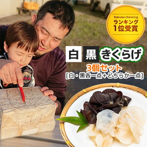 【楽天ランキング1位受賞】 きくらげ 栽培キット 3点 セット 【公式】 栽培セット 生 キクラゲ 木耳 きのこ 栽培 栽培用 菌床 菌糸 自由研究 きくらげ栽培 きのこ栽培 自家栽培 家庭菜園 家庭農園 室内栽培 国産 エルゴチオネイン 花咲たもぎたけ アスリー オフィシャル