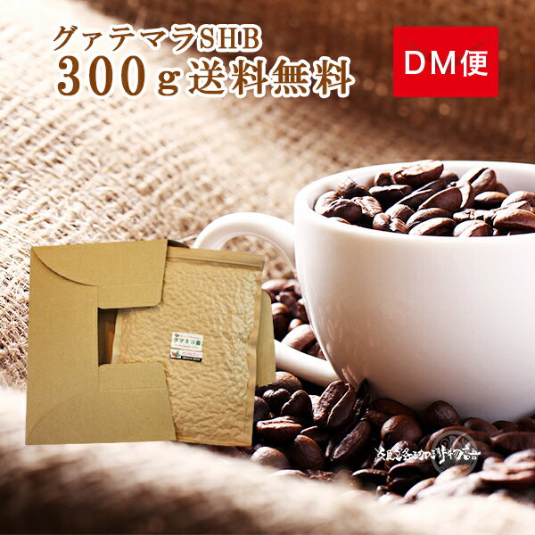 深煎りグアテマラSHB コーヒー豆300gが入っています！【日時指定不可】【送料無料】