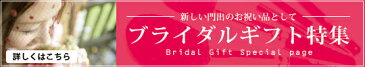 【送料無料】熊野化粧筆 メイクブラシ セット 2本 セット ＜レッドパール＞ パウダーブラシ チークブラシ 熊野筆 セット【包装 無料・ 名入れ 可】 熊野筆 ギフト セット 名入れ ブランド