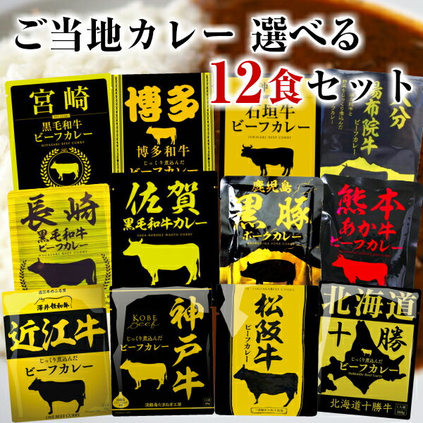 新宿中村屋 インドを旅するインドカリー 南インドキーマ(150g*2箱セット)【新宿中村屋】[レトルト キーマ キーマカレー 備蓄]