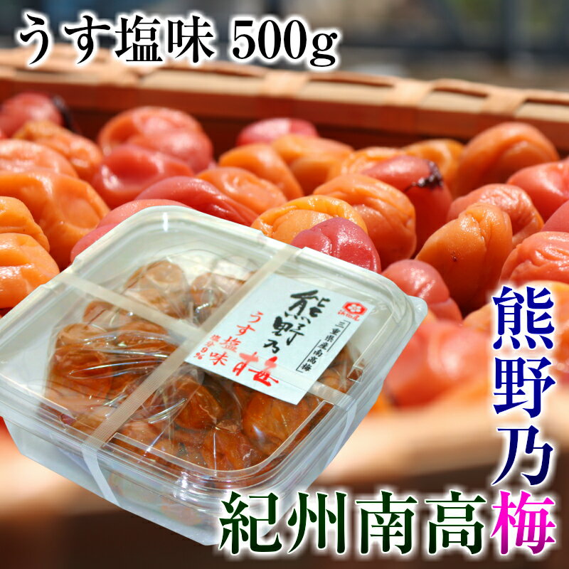 浜地屋 三重県産 紀州南高梅干し うす塩味 500g 塩分9％